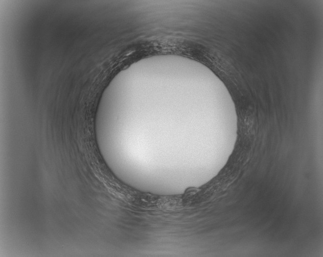 X0000053010865200507221311