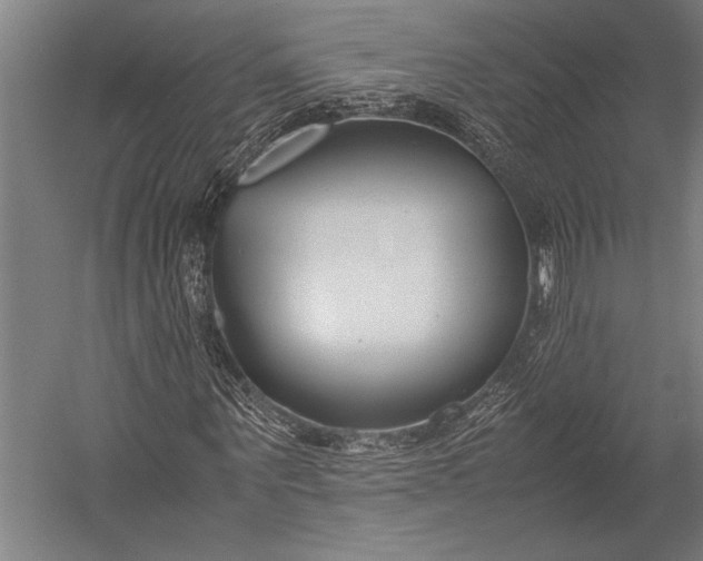 X0000053010867200507221311