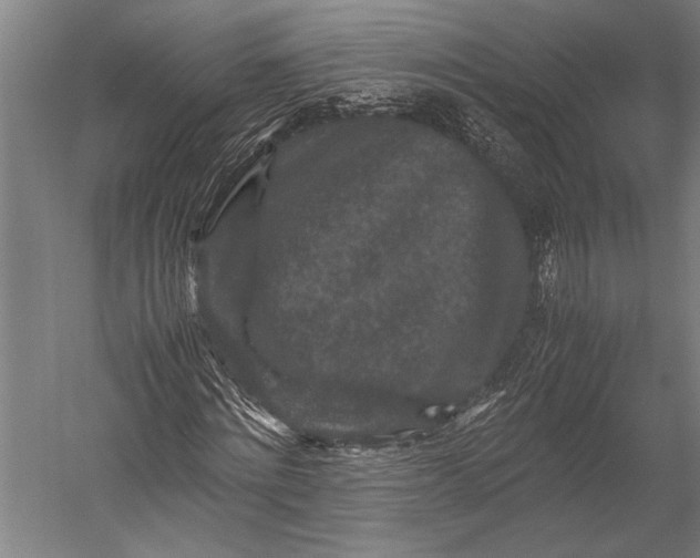 X0000053010868200507221311