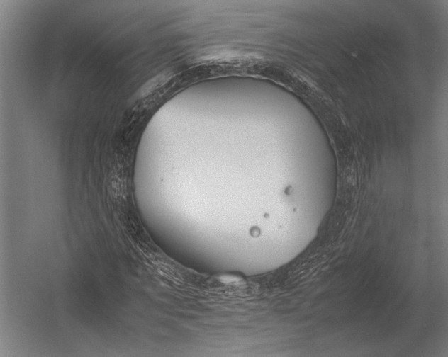 X0000053010869200507221310