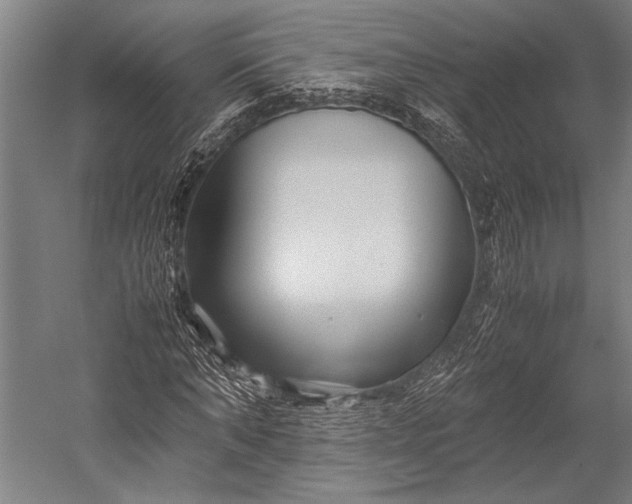 X0000053010870200507221310