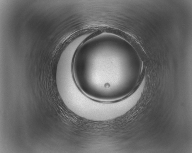 X0000053010871200507221310