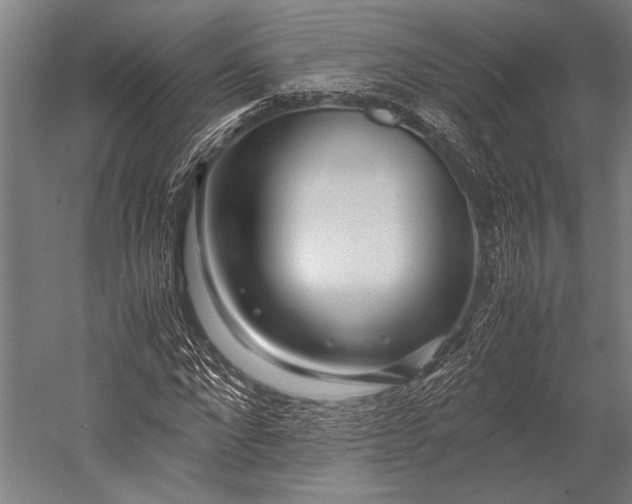 X0000053010872200507221310