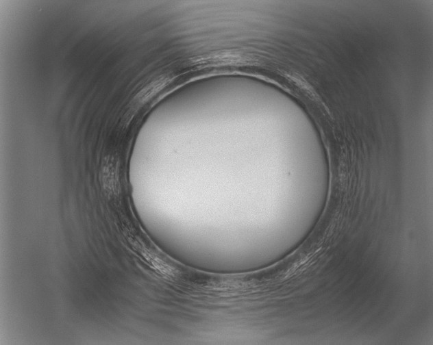 X0000053010873200507221310