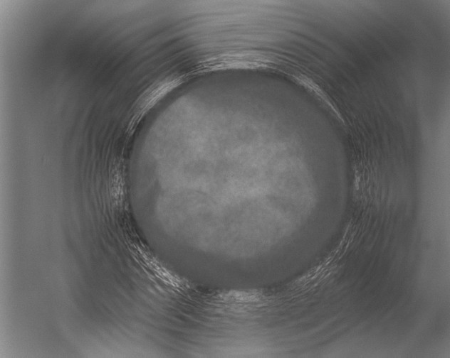 X0000053010874200507221310