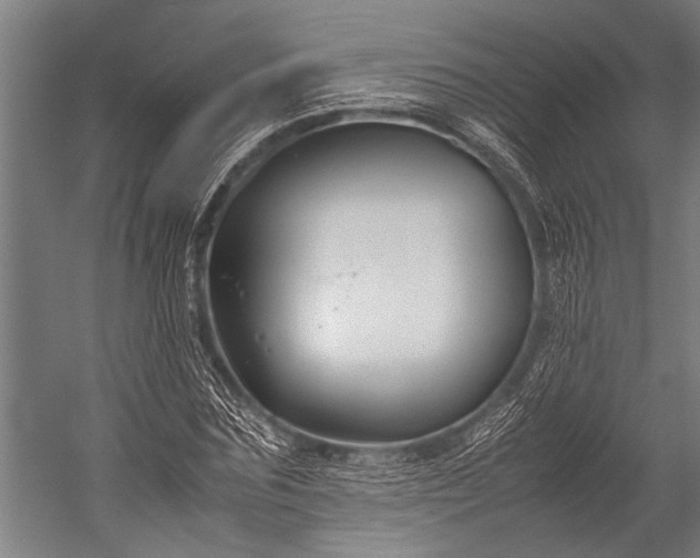 X0000053010875200507221310