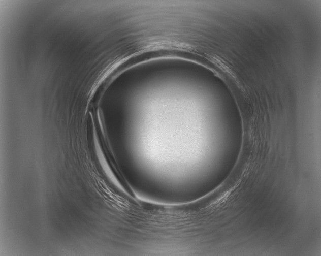 X0000053010877200507221310