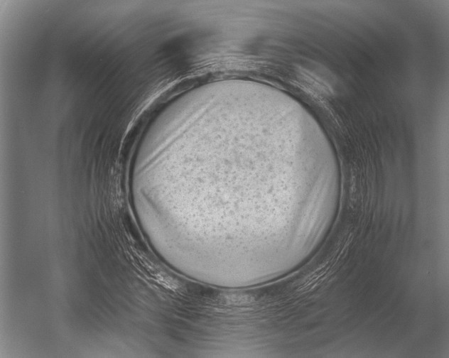 X0000053010878200507221310