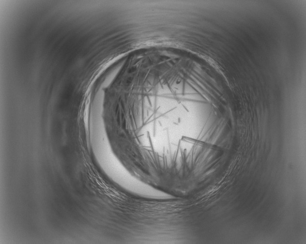 X0000053010879200507221310