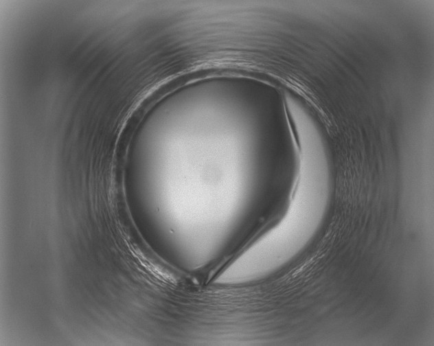 X0000053010880200507221310