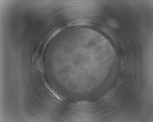 X0000053010882200507221310