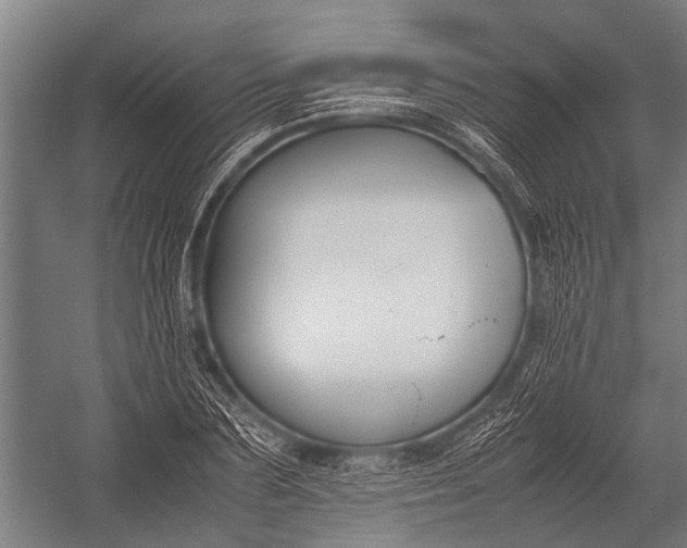 X0000053010883200507221310