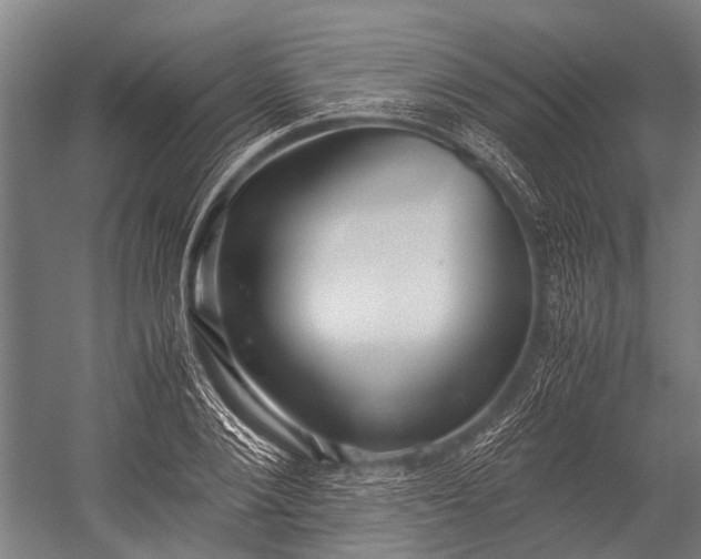 X0000053010884200507221310