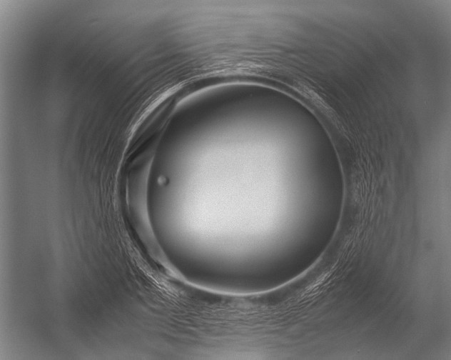 X0000053010885200507221310