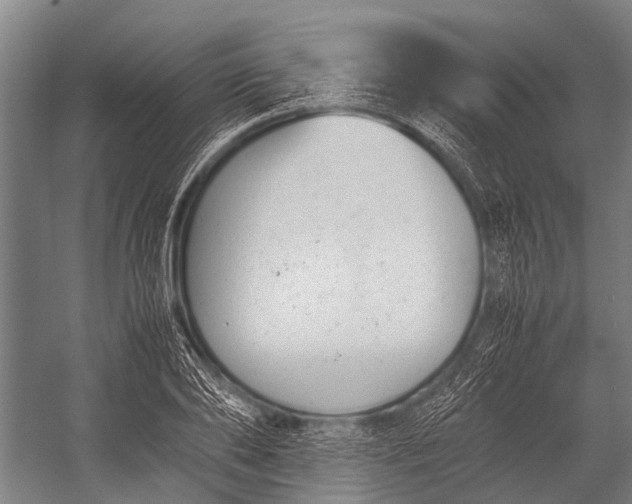 X0000053010886200507221310