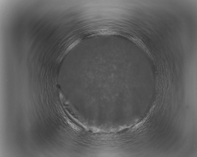 X0000053010889200507221310