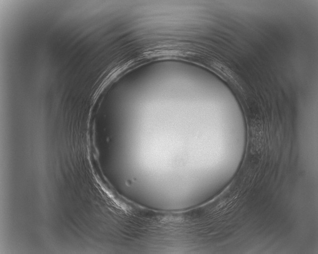 X0000053010890200507221310