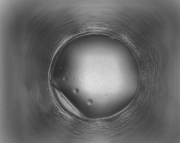 X0000053010891200507221310