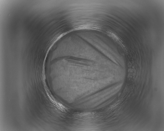 X0000053010892200507221310