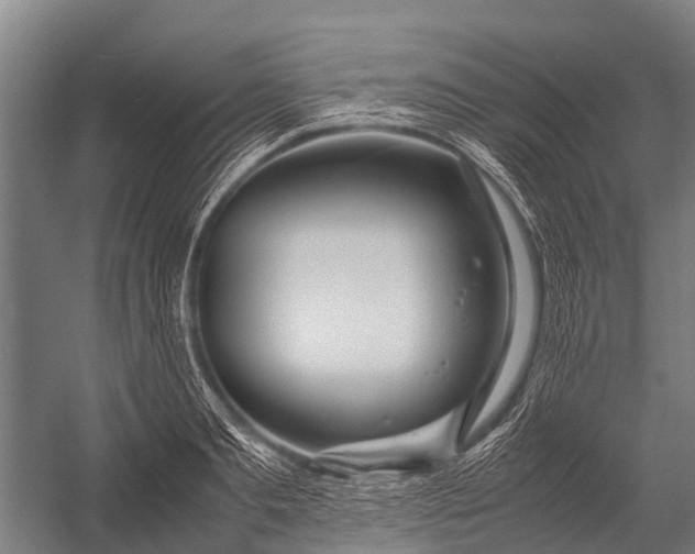 X0000053010893200507221310