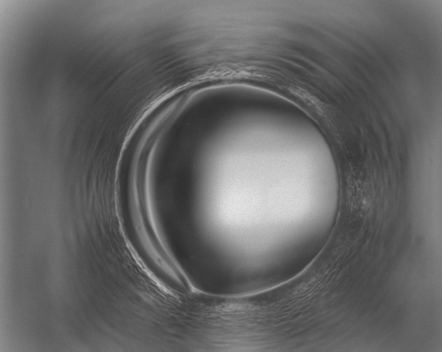 X0000053010894200507221310