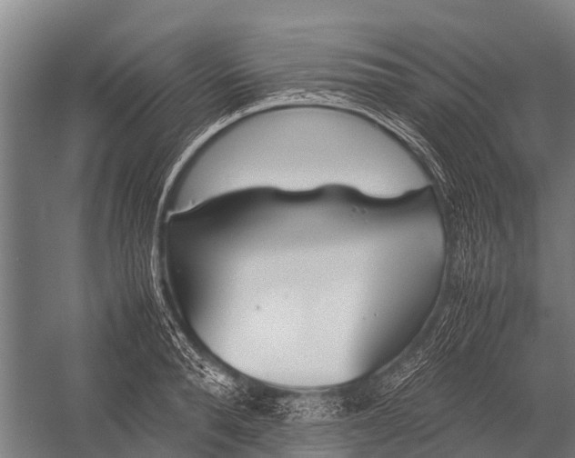 X0000053010896200507221310