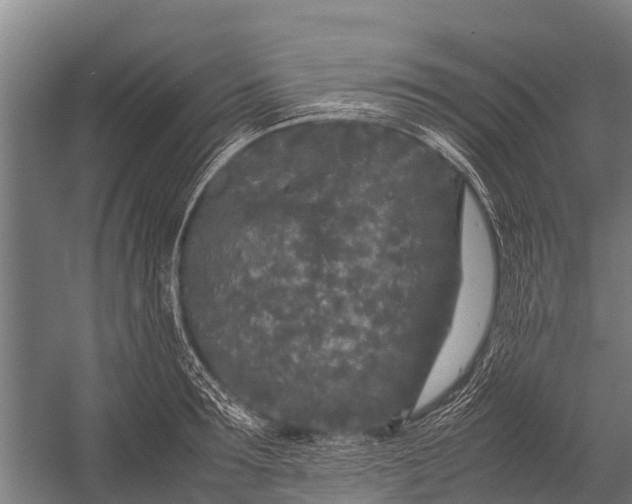 X0000053010899200507221310