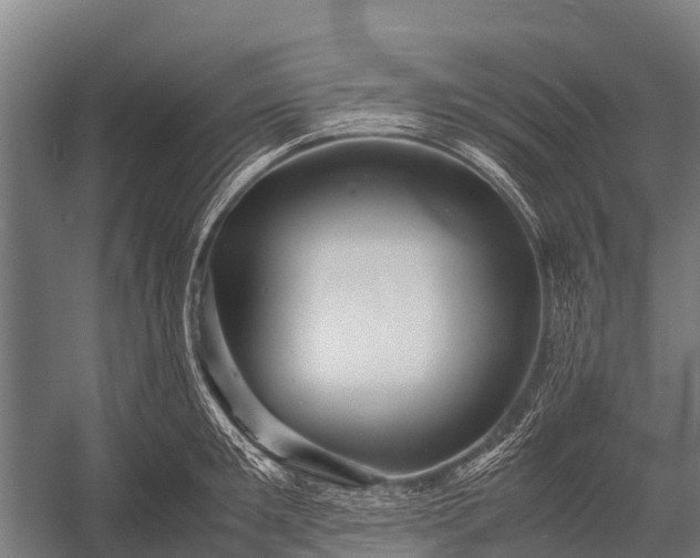 X0000053010901200507221310