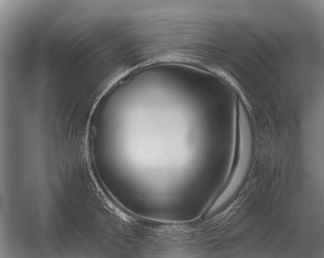 X0000053010902200507221310