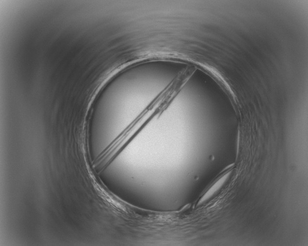 X0000053010903200507221310