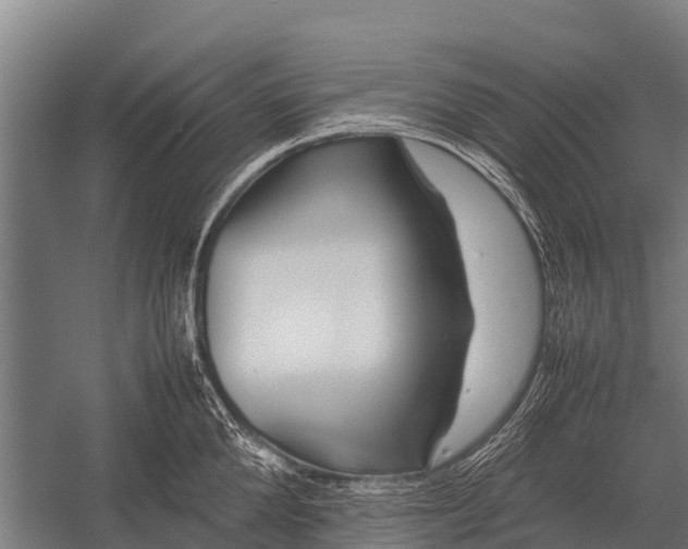 X0000053010904200507221310