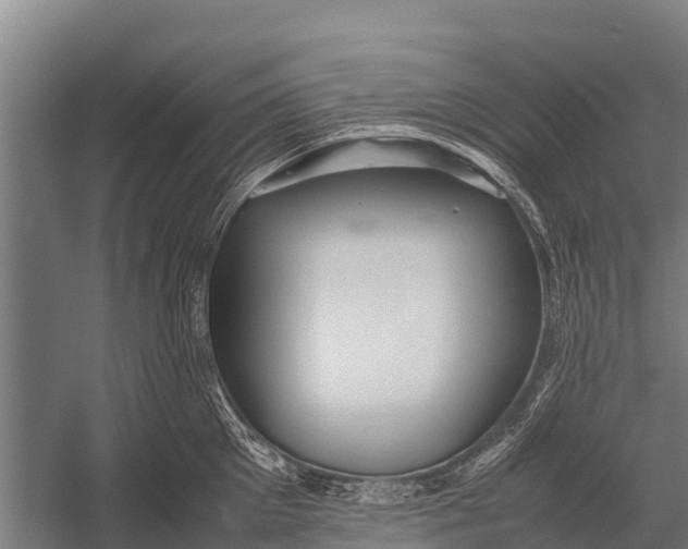 X0000053010905200507221310