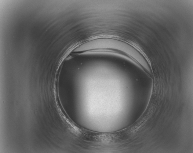 X0000053010906200507221310