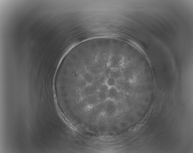 X0000053010907200507221310