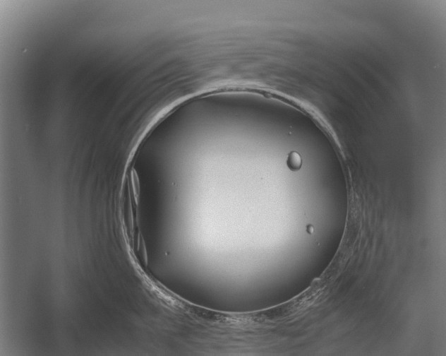 X0000053010911200507221310