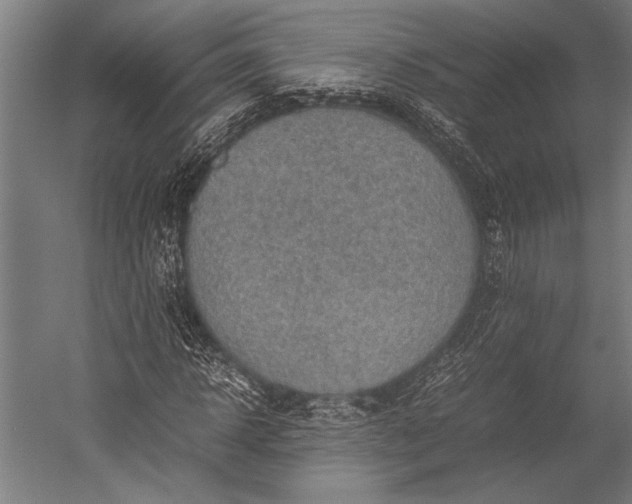 X0000053010918200507221309