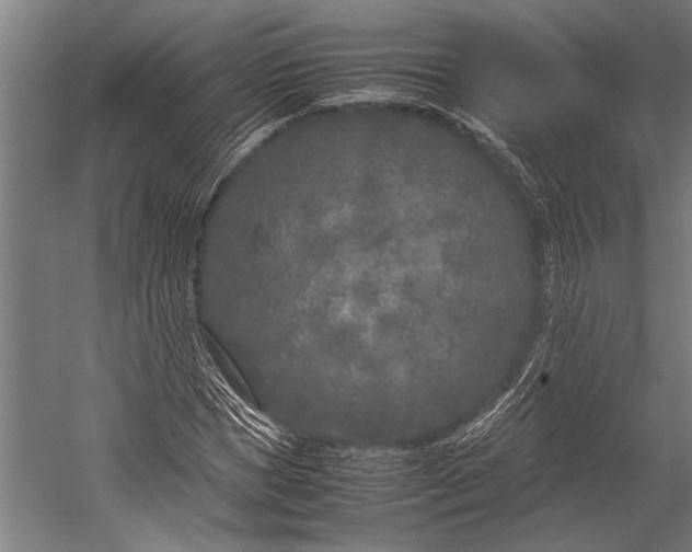 X0000053010921200507221309