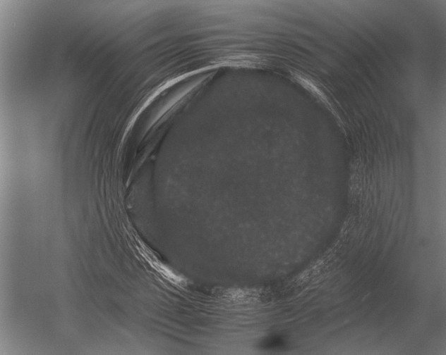 X0000053010923200507221309