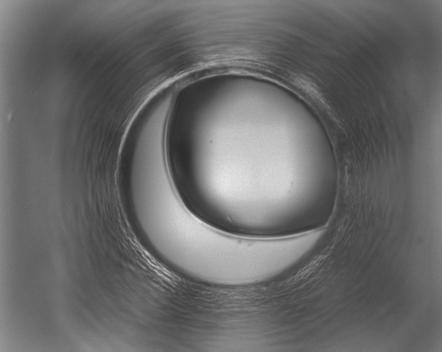 X0000053010924200507221309