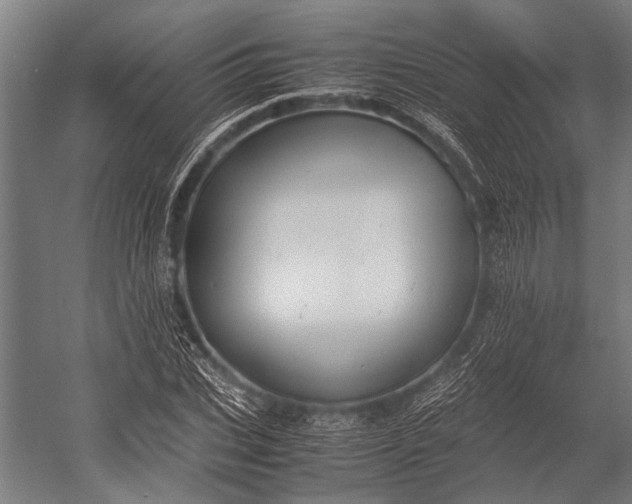 X0000053010927200507221309