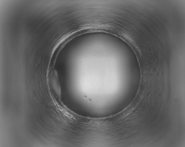 X0000053010928200507221309