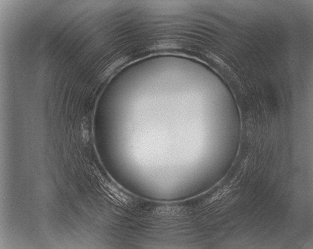 X0000053010929200507221309