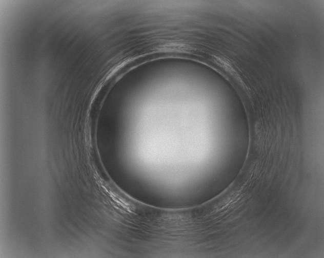 X0000053010931200507221309