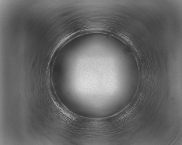 X0000053010933200507221309