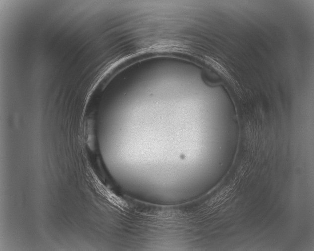 X0000053010934200507221309