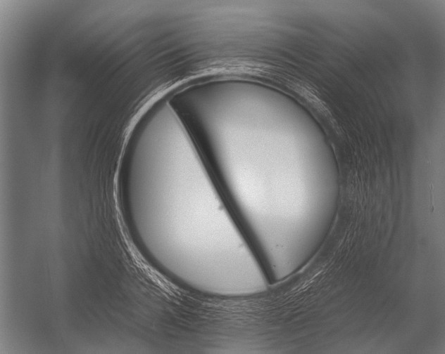 X0000053010936200507221309