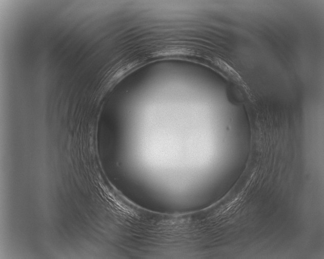 X0000053010937200507221309