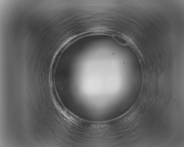 X0000053010939200507221309