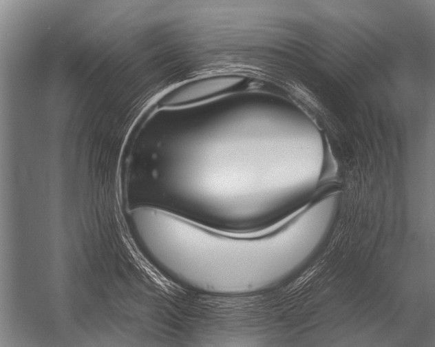 X0000053010940200507221309