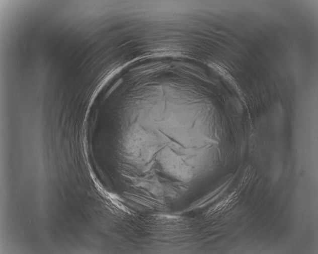 X0000053010941200507221309